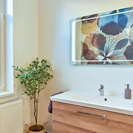 Premium Feelgood Gruppenapartments Fuer Familien & Freundesgruppen - Urlaub Im Kurort In Zentraler Lage Deutschlands * Bad Sooden-Allendorf